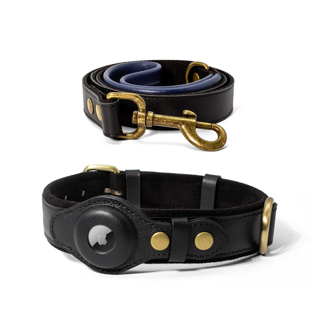 CUCUBIRD Genuine Leather Airtag Dog Collar and Leash Set  