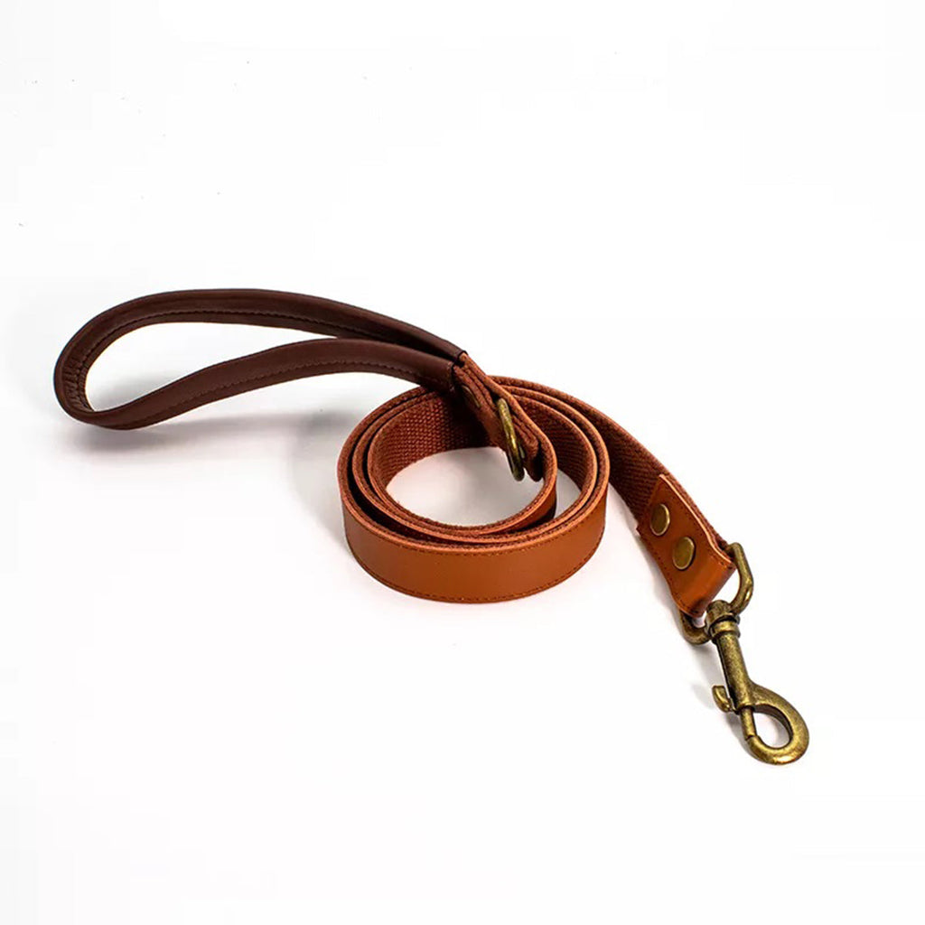 CUCUBIRD Genuine Leather Airtag Dog Collar and Leash Set  