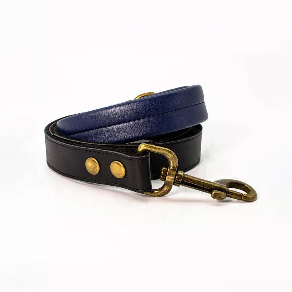 CUCUBIRD Genuine Leather Airtag Dog Collar and Leash Set  