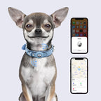 CUCUBIRD Vegan Leather Dog Collar with Airtag Case - Brown  