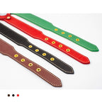 CUCUBIRD Genuine Leather Dog Collar with Airtag Case - Red  