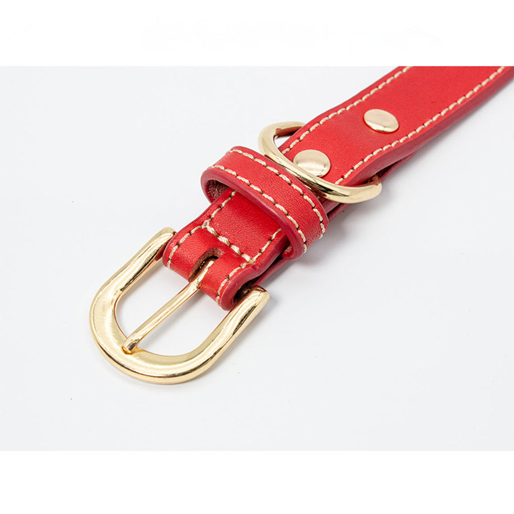 CUCUBIRD Genuine Leather Dog Collar with Airtag Case - Red  
