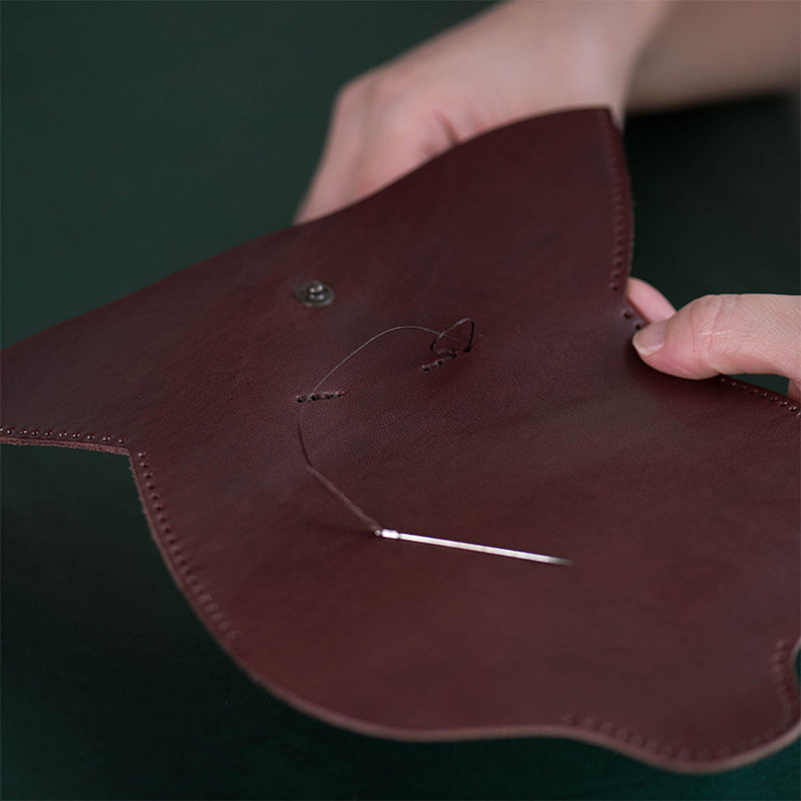 CUCUBIRD POPSEWING® Full Grain Leather Eyeglasses Case DIY Kit  